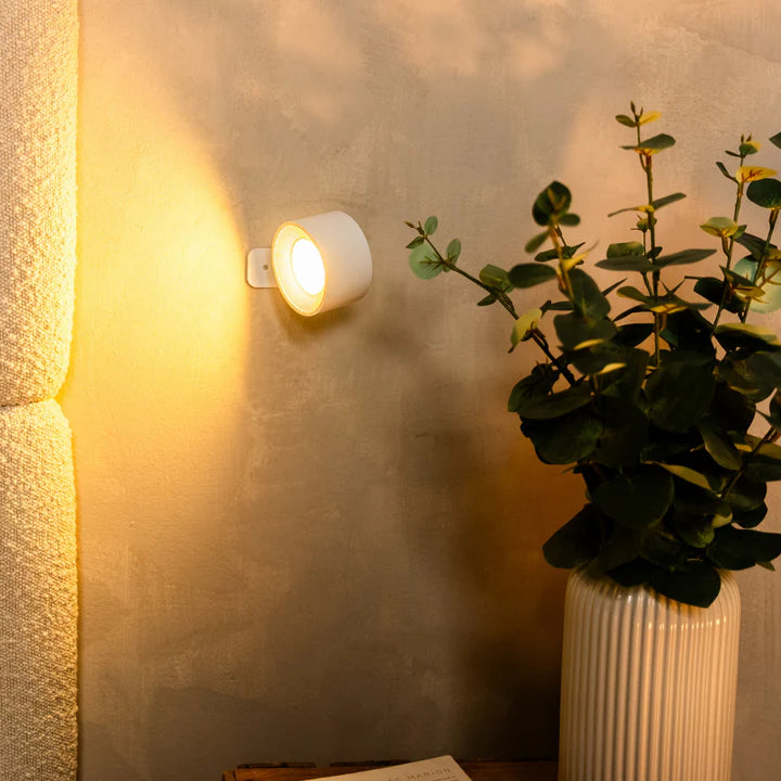Lampadora ✨